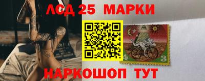шишки Тара