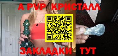 шишки Тара