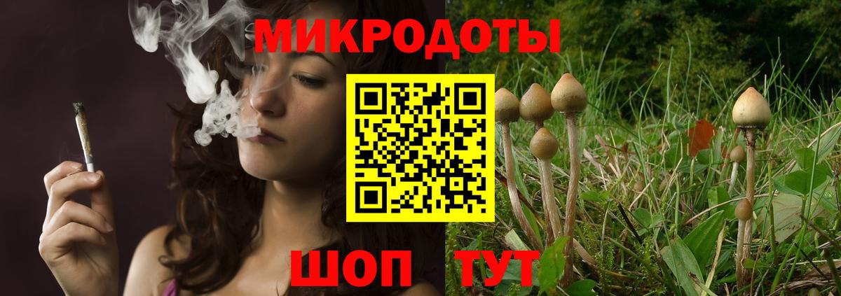 Псилоцибиновые грибы Magic Shrooms Богородицк
