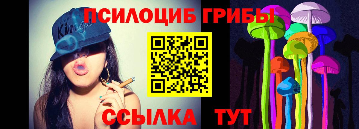 продажа наркотиков  Вход с VPN  Богородицк  Псилоцибиновые грибы мухоморы 
